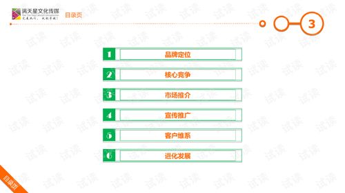 大米姐品牌營(yíng)銷策劃案 企業(yè)形象策劃與商業(yè)計(jì)劃書精品模板